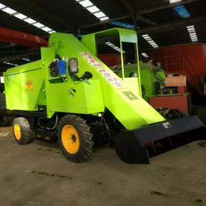 Koe Dung Cleaning Car