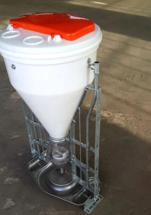 Pig Dry-Wet Feeder