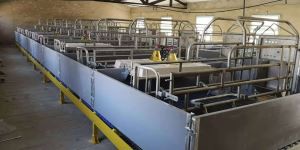 Pig Farm Farrowing Crate Construction brûke flier